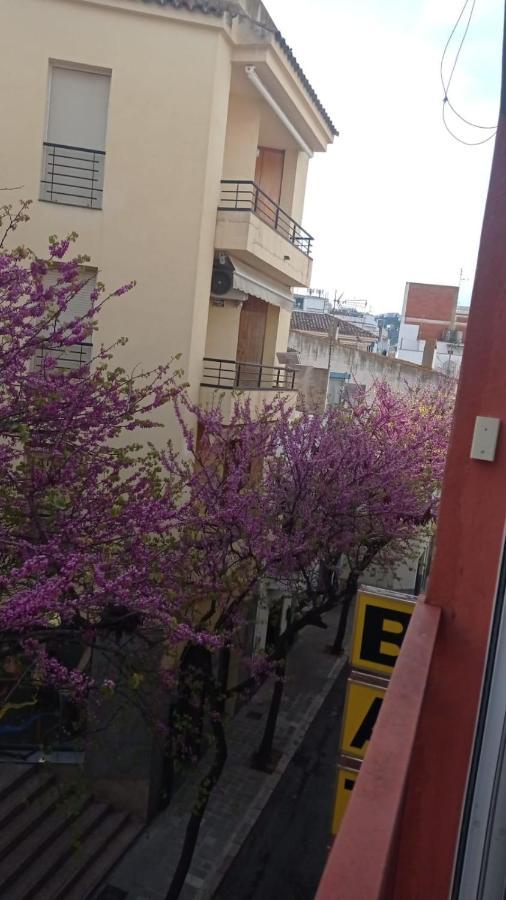 A Centre Appartement Roses
